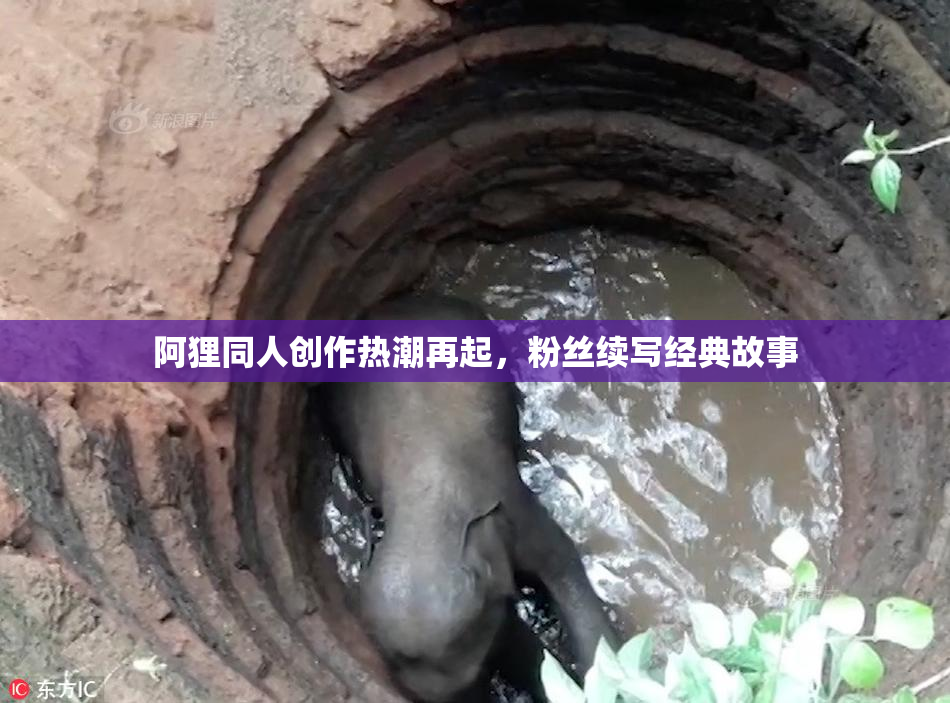 阿狸同人创作热潮再起，粉丝续写经典故事