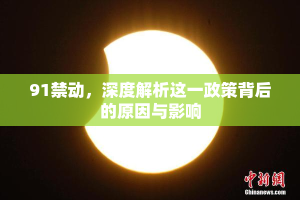 91禁动，深度解析这一政策背后的原因与影响