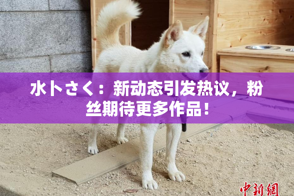 水卜さく：新动态引发热议，粉丝期待更多作品！