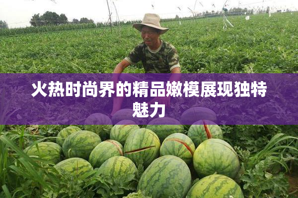 火热时尚界的精品嫩模展现独特魅力