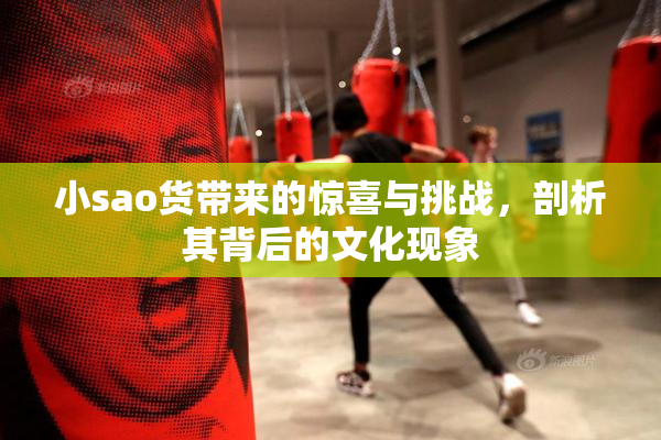 小sao货带来的惊喜与挑战，剖析其背后的文化现象