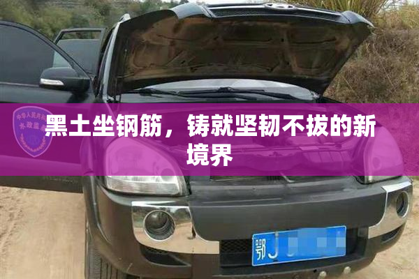 黑土坐钢筋，铸就坚韧不拔的新境界