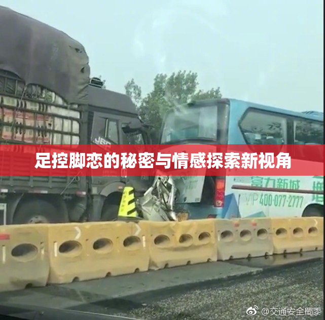 足控脚恋的秘密与情感探索新视角
