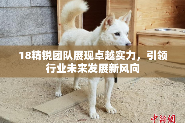 18精锐团队展现卓越实力，引领行业未来发展新风向