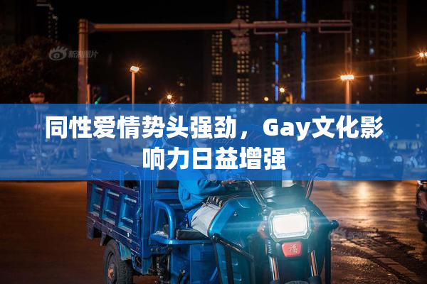 同性爱情势头强劲，Gay文化影响力日益增强