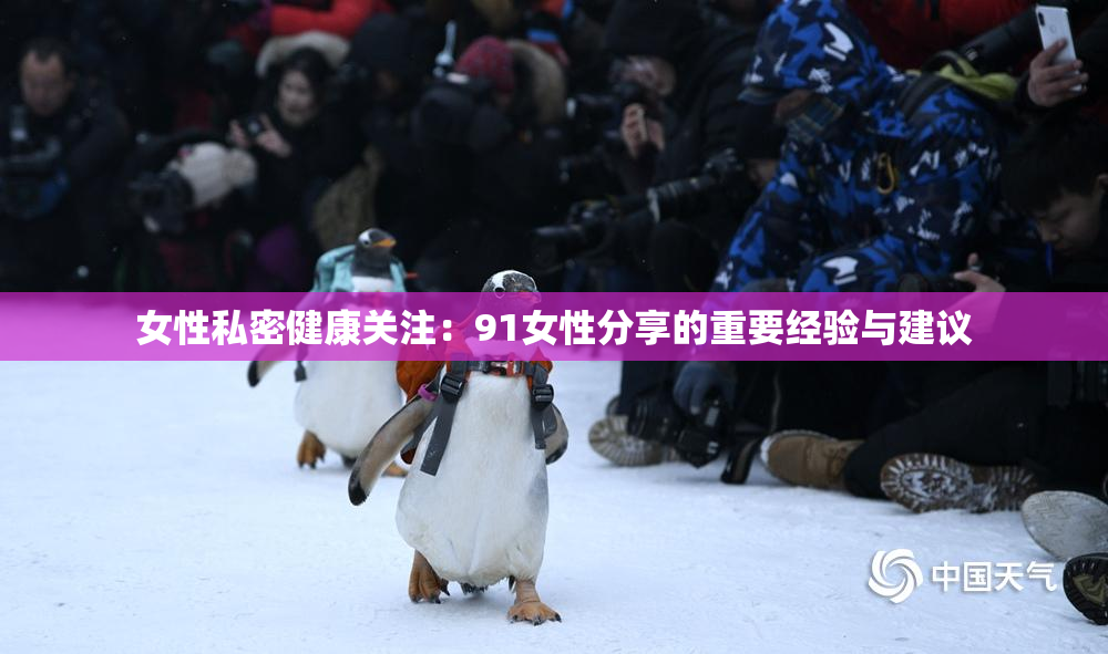 女性私密健康关注：91女性分享的重要经验与建议