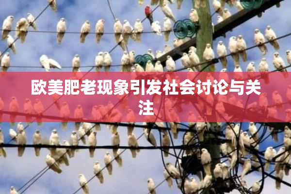欧美肥老现象引发社会讨论与关注