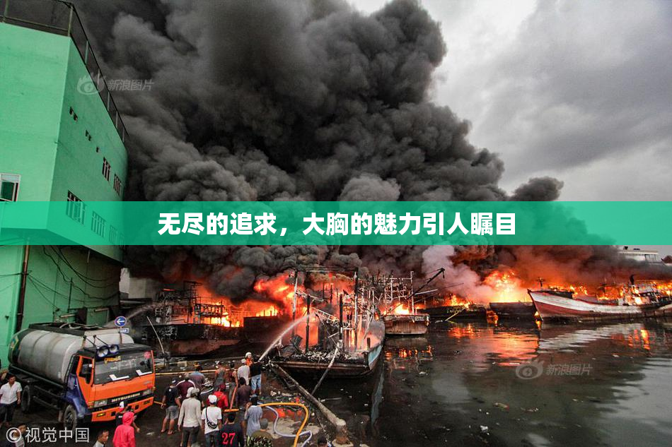 无尽的追求，大胸的魅力引人瞩目