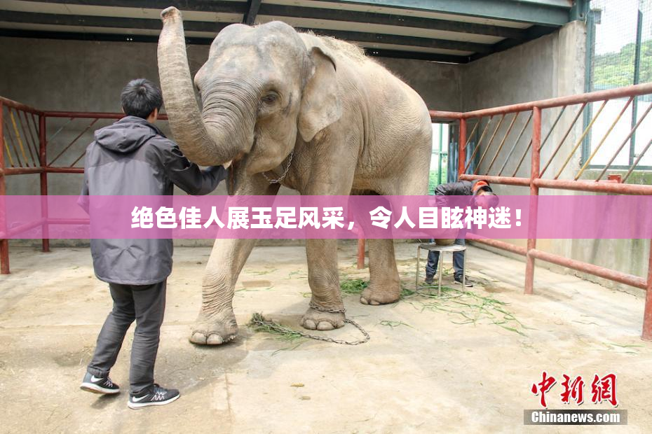 绝色佳人展玉足风采，令人目眩神迷！