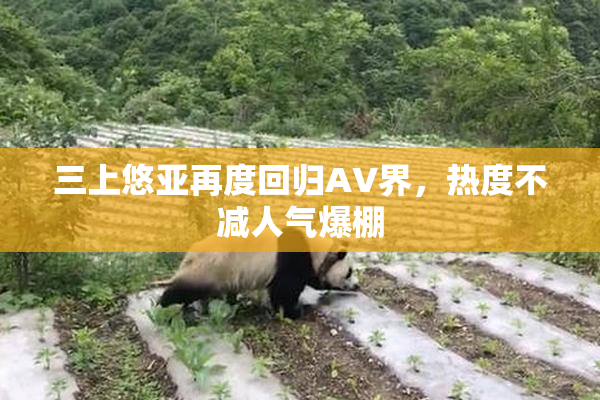 三上悠亚再度回归AV界，热度不减人气爆棚
