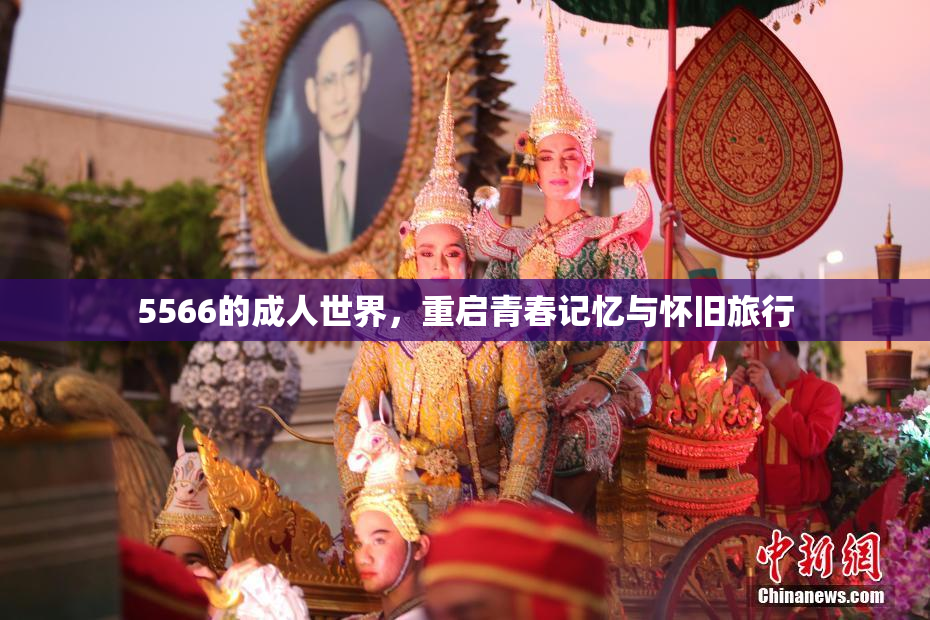 5566的成人世界，重启青春记忆与怀旧旅行