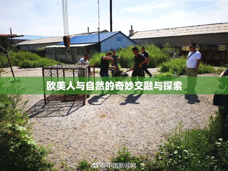 欧美人与自然的奇妙交融与探索