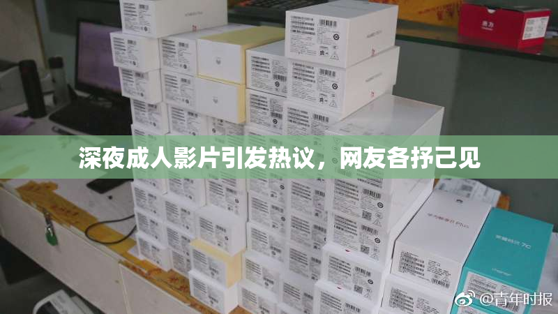 深夜成人影片引发热议，网友各抒己见