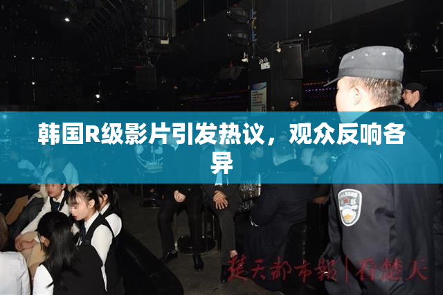 韩国R级影片引发热议，观众反响各异