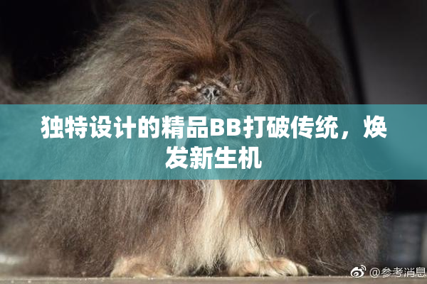 独特设计的精品BB打破传统，焕发新生机