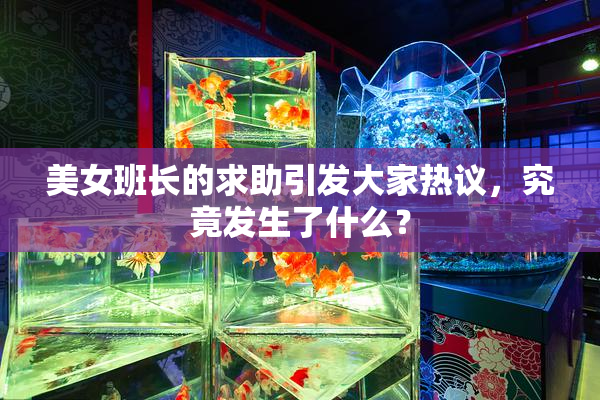 美女班长的求助引发大家热议，究竟发生了什么？