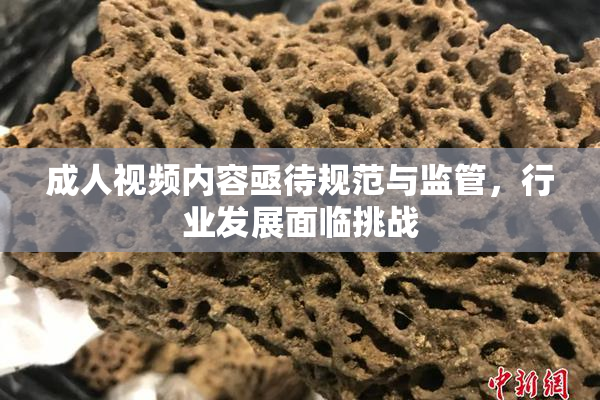 成人视频内容亟待规范与监管，行业发展面临挑战