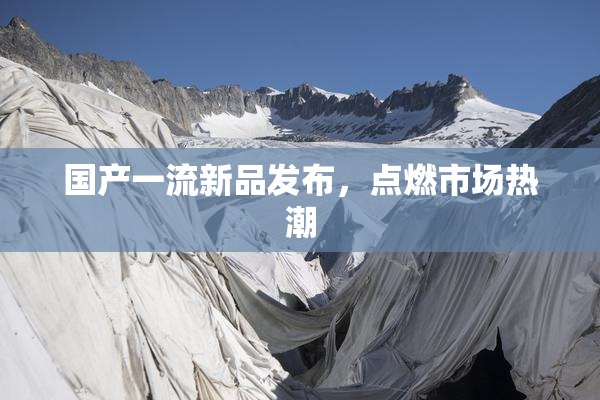 国产一流新品发布，点燃市场热潮