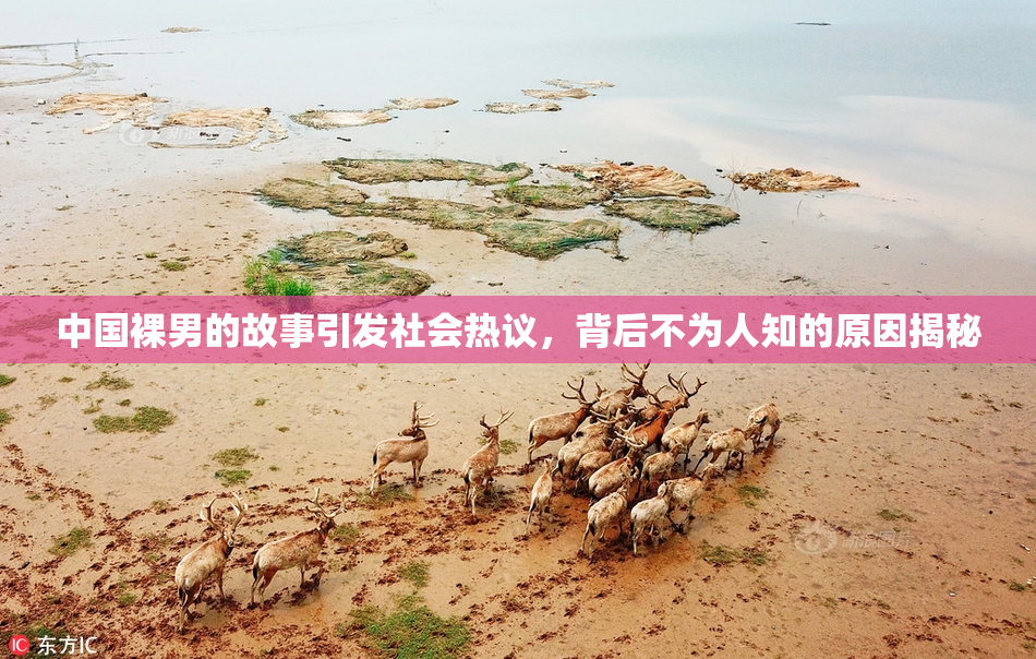 中国裸男的故事引发社会热议，背后不为人知的原因揭秘