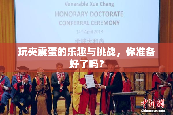 玩夹震蛋的乐趣与挑战，你准备好了吗？