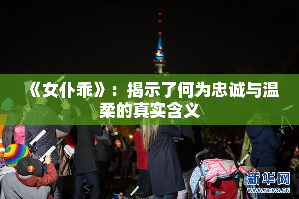 《女仆乖》：揭示了何为忠诚与温柔的真实含义