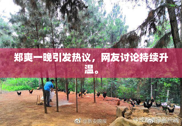 郑爽一晚引发热议，网友讨论持续升温。