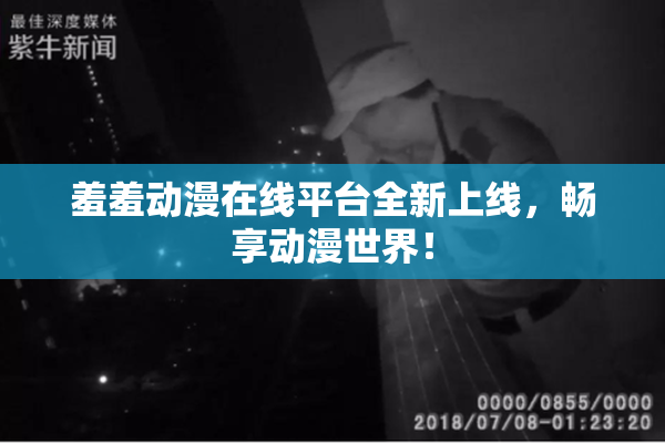 羞羞动漫在线平台全新上线，畅享动漫世界！