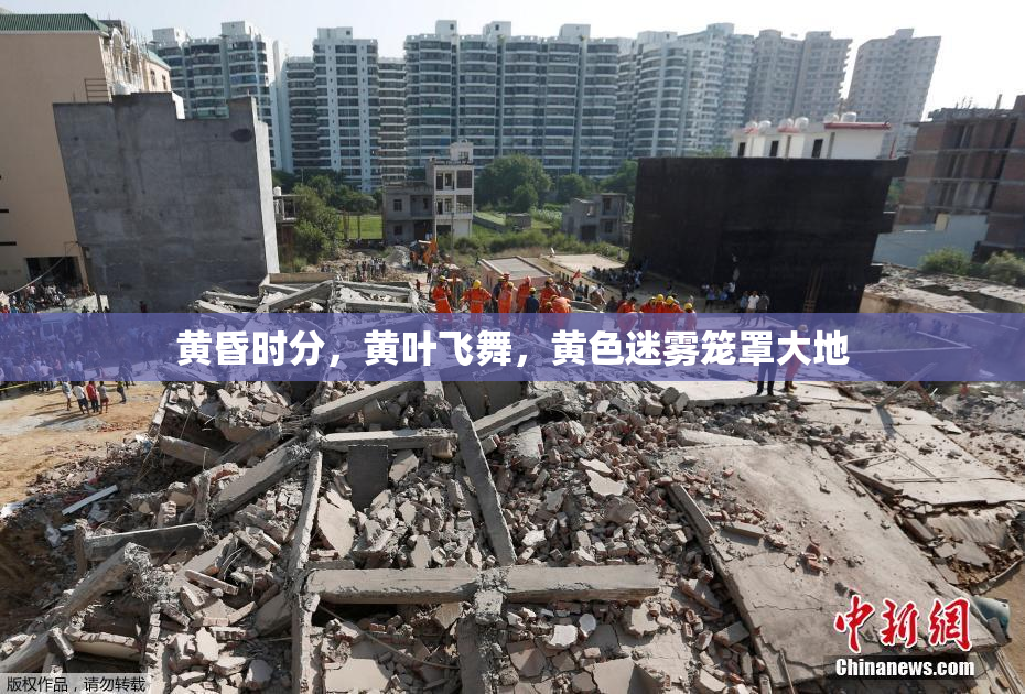 黄昏时分，黄叶飞舞，黄色迷雾笼罩大地