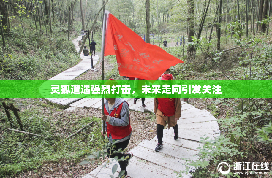 灵狐遭遇强烈打击，未来走向引发关注