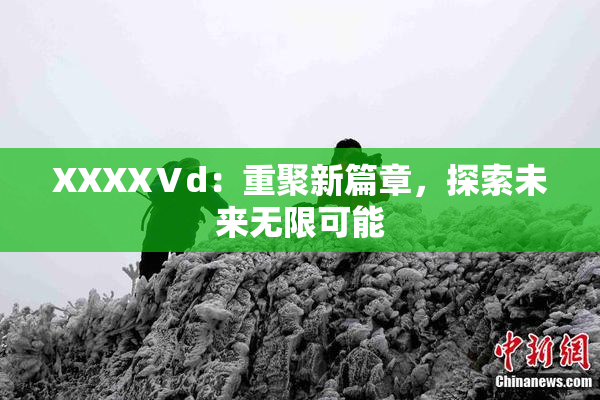 XXXXⅤd：重聚新篇章，探索未来无限可能