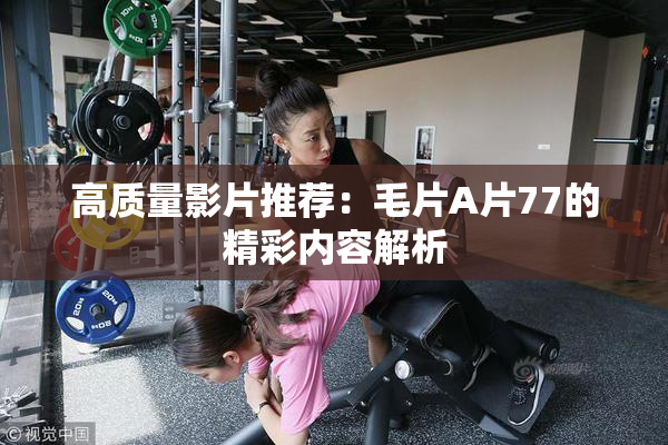 高质量影片推荐：毛片A片77的精彩内容解析