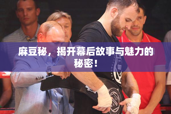 麻豆秘，揭开幕后故事与魅力的秘密！