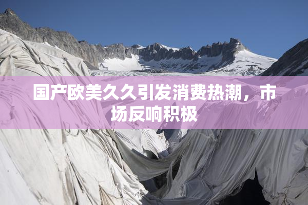 国产欧美久久引发消费热潮，市场反响积极