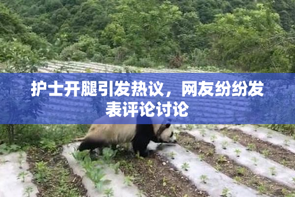 护士开腿引发热议，网友纷纷发表评论讨论