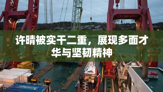 许晴被实干二重，展现多面才华与坚韧精神