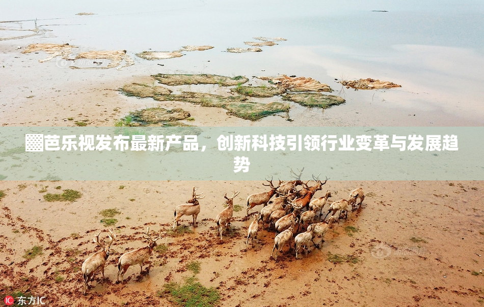 ▓芭乐视发布最新产品，创新科技引领行业变革与发展趋势