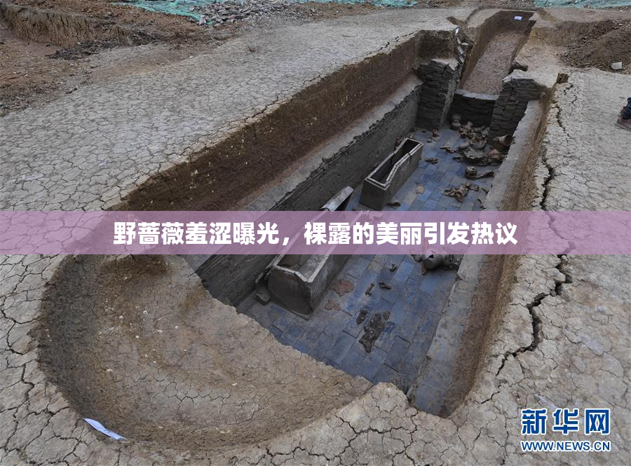 野蔷薇羞涩曝光，裸露的美丽引发热议