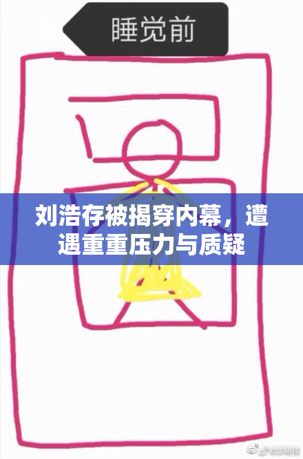 刘浩存被揭穿内幕，遭遇重重压力与质疑