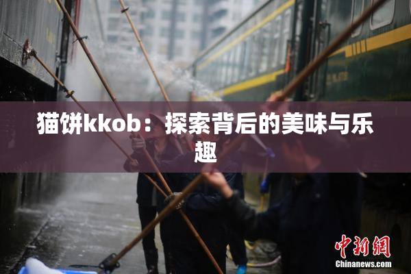 猫饼kkob：探索背后的美味与乐趣