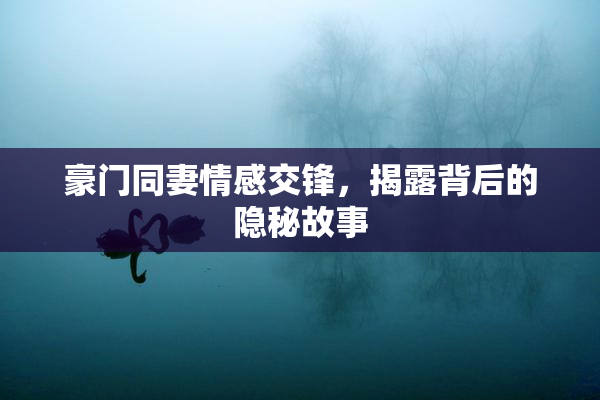 豪门同妻情感交锋，揭露背后的隐秘故事