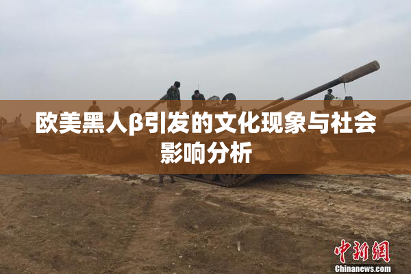 欧美黑人β引发的文化现象与社会影响分析
