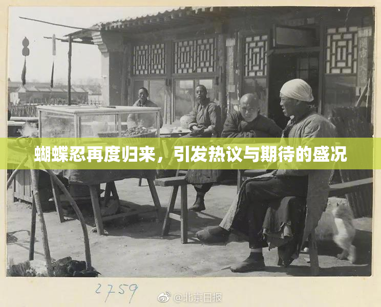 蝴蝶忍再度归来，引发热议与期待的盛况