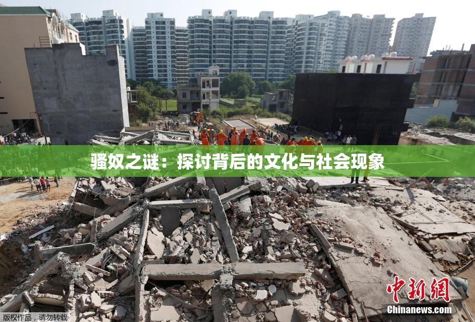 骚奴之谜：探讨背后的文化与社会现象