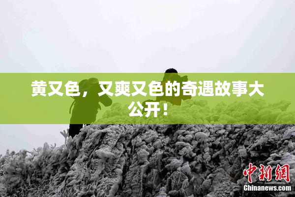 黄又色，又爽又色的奇遇故事大公开！