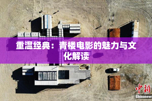 重温经典：青楼电影的魅力与文化解读