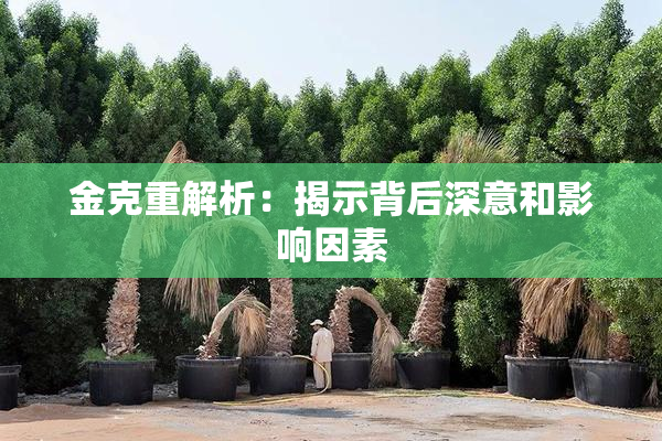 金克重解析：揭示背后深意和影响因素