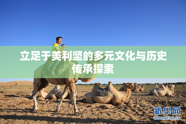 立足于美利坚的多元文化与历史传承探索