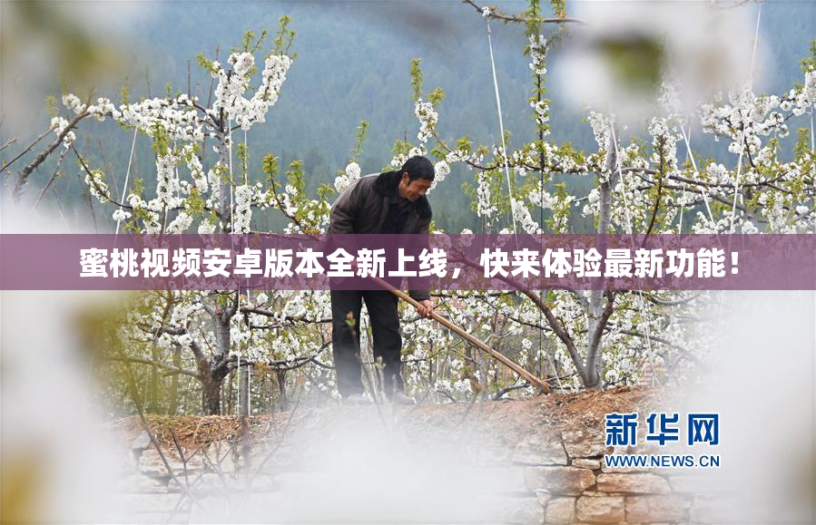 蜜桃视频安卓版本全新上线，快来体验最新功能！