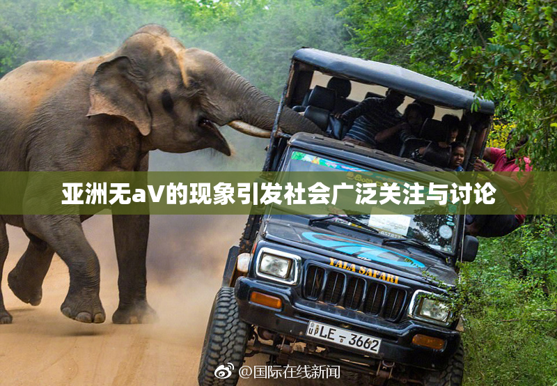 亚洲无aV的现象引发社会广泛关注与讨论