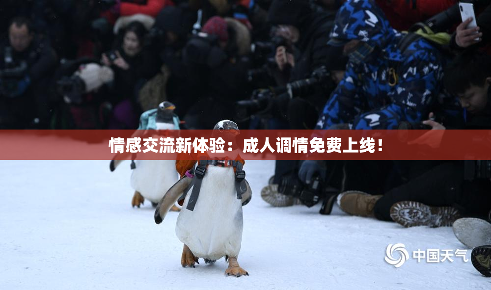 情感交流新体验：成人调情免费上线！